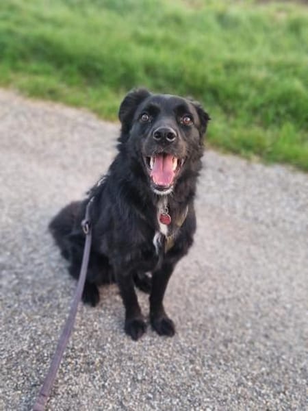 junger aktiver JarJar sucht seine Glück