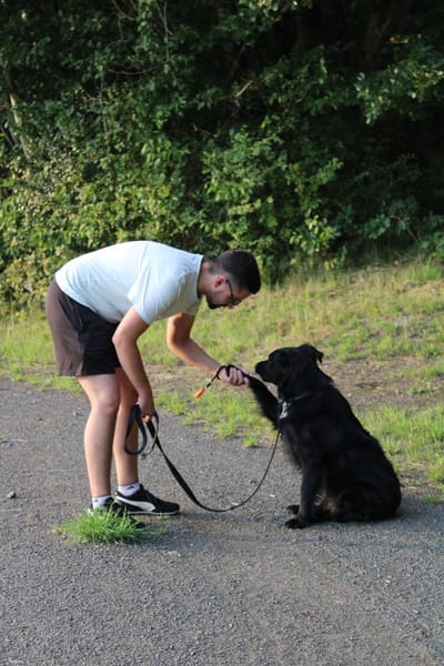 junger aktiver JarJar sucht seine Glück