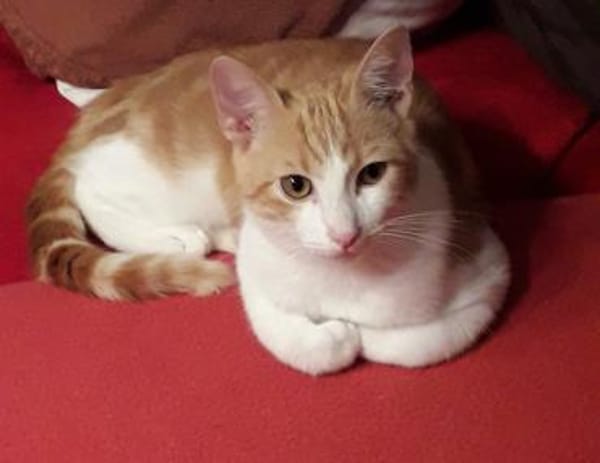 Bella & Linus hübsches Mama-Sohn-Team