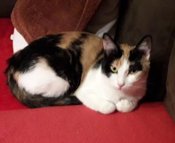 Bella & Linus hübsches Mama-Sohn-Team