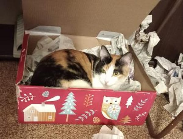 Bella & Linus hübsches Mama-Sohn-Team