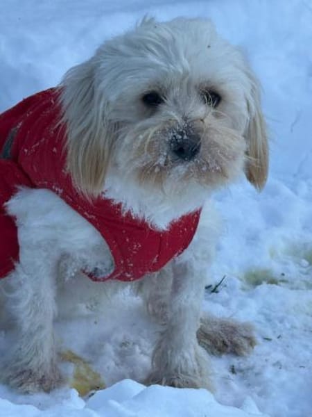 Ich heiße Kimmi.. mit Video