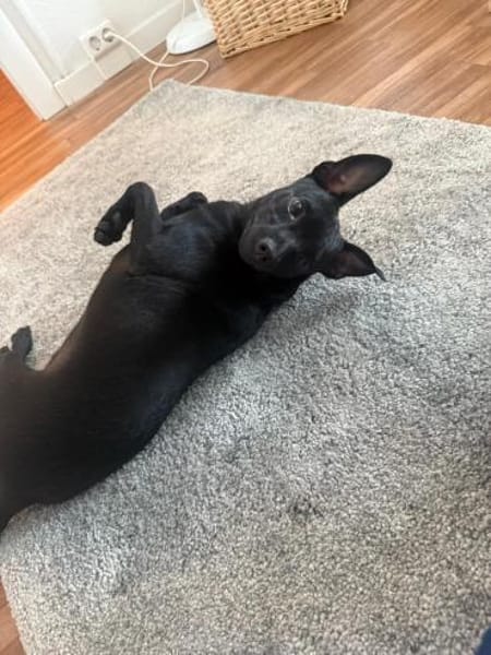 Tommy, Neuanfang gesucht