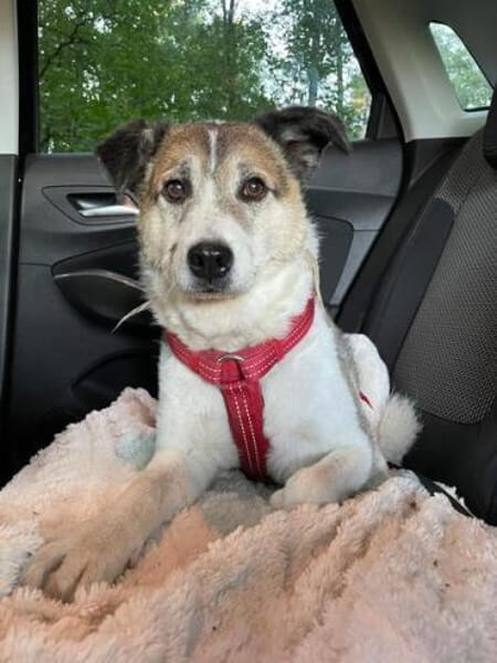 SMARTIE * ruhiger Typ s Vertrauensmensch