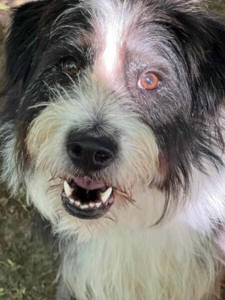 GULLIVER - aktiv & neugierig-