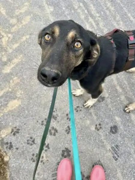 JAGO -Freundlich, aufgeschlossen &sozial