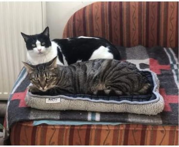 Miriam - sehr liebenswert & sozial