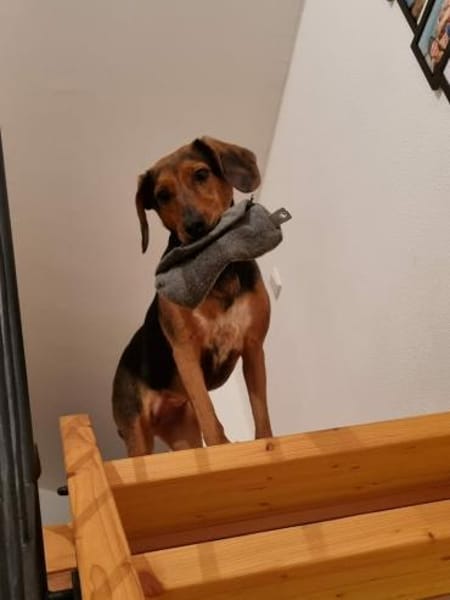 freundliche ältere Luna sucht ...