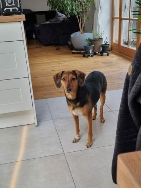 freundliche ältere Luna sucht ...