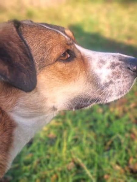 SUNDAY -steckt voller Entdeckungsfreude-