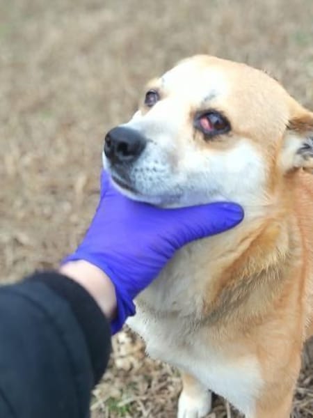 Gizi, niemand wollte ihr helfen