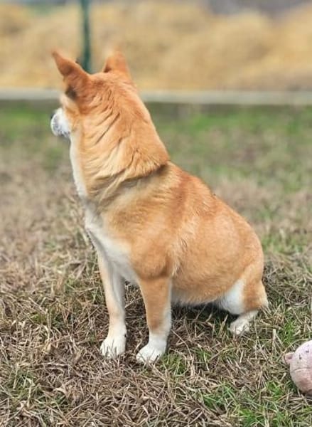 Gizi, niemand wollte ihr helfen