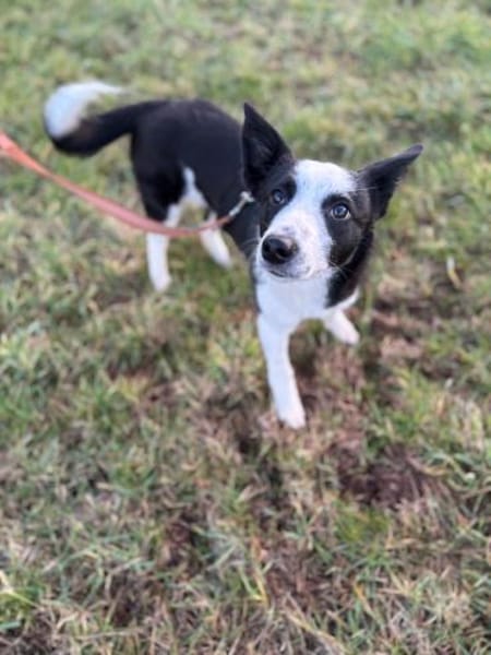 Lenny - Sonnenschein pur! ☀