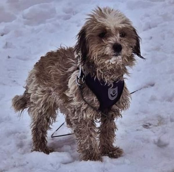 Natassi wird gerne mental gefordert