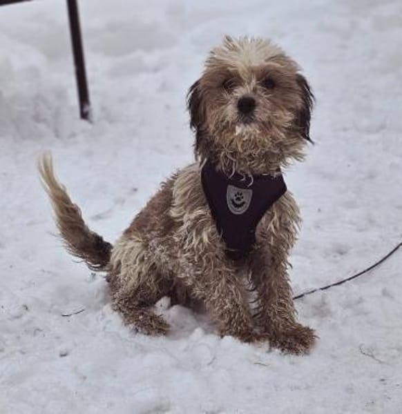 Natassi wird gerne mental gefordert