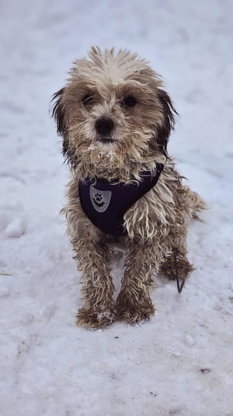 Natassi wird gerne mental gefordert