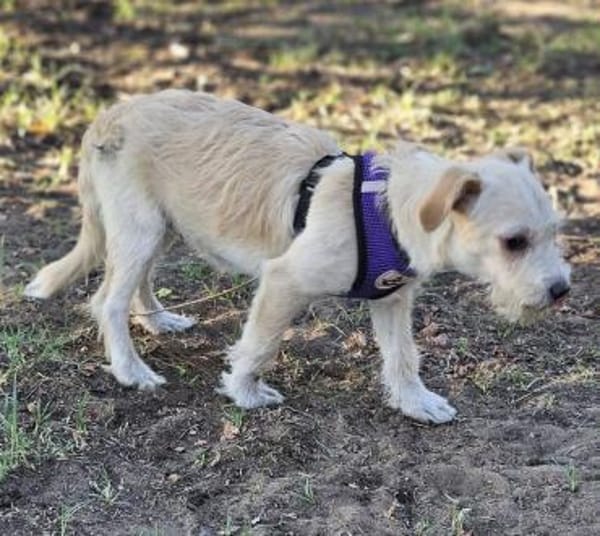 Jasny ist aktiv und neugierig