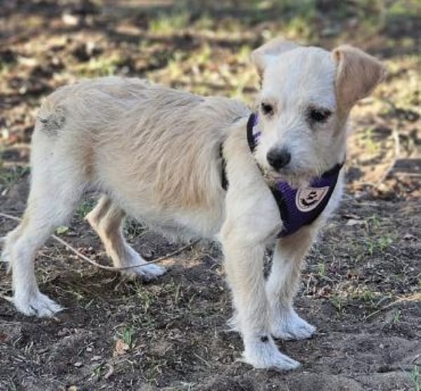 Jasny ist aktiv und neugierig