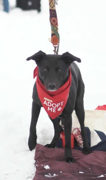 Raja - die Herzensbrecherin 💕