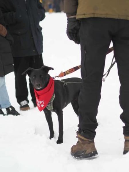 Raja - die Herzensbrecherin 💕