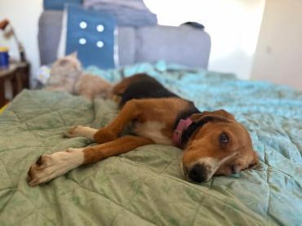 Gabi sucht ihr großes Glück