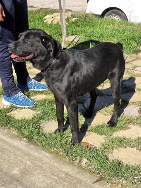 MIRA♥ sanfte Klugheit sucht Lebensplatz