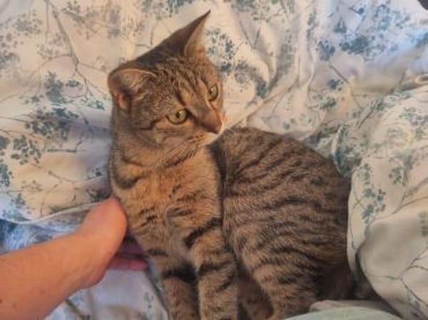 Tamara & Clara suchen Kuschelplatz