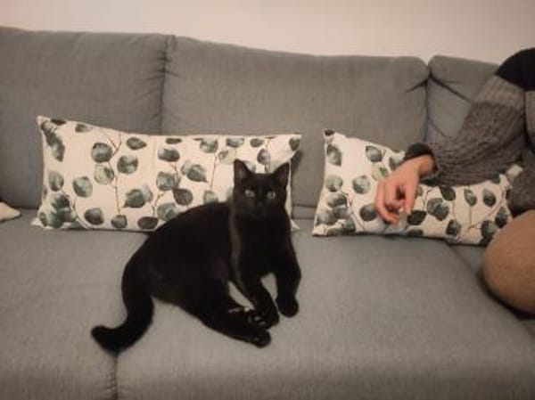 Tamara & Clara suchen Kuschelplatz