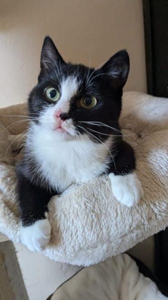 Igor, Luzi, Leni finden vllt. gemeinsam