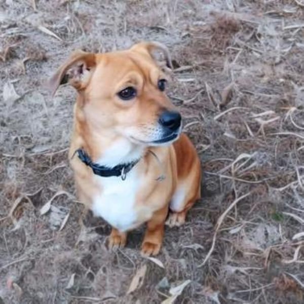 Milo - bracht eine ruhige Umgebung