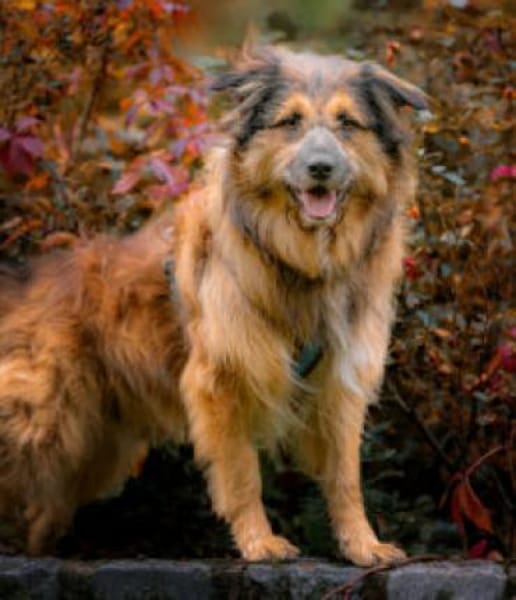 SLY - menschenbezogen&sensibel