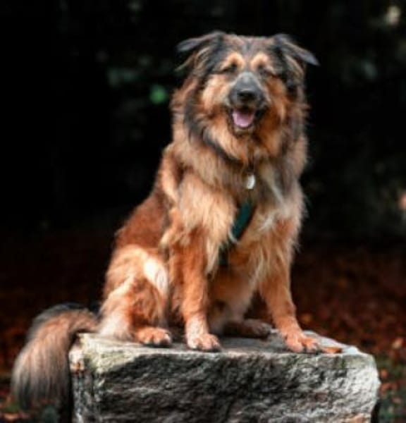 SLY - menschenbezogen&sensibel