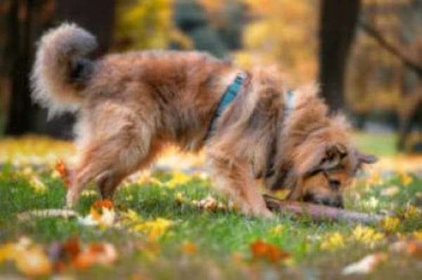 SLY - menschenbezogen&sensibel