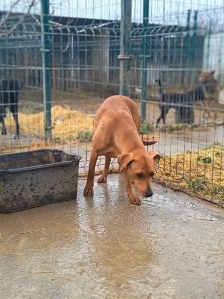 Szamira wartet schon 1 Jahr😒