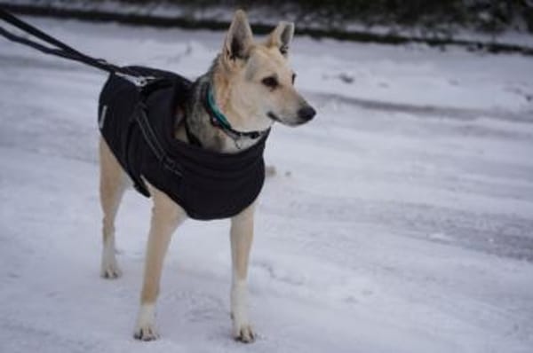 Mary Beth sucht ihr Zuhause