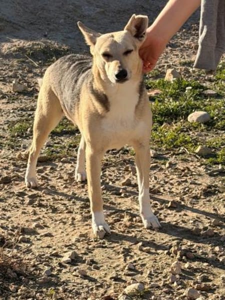 Mary Beth sucht ihr Zuhause