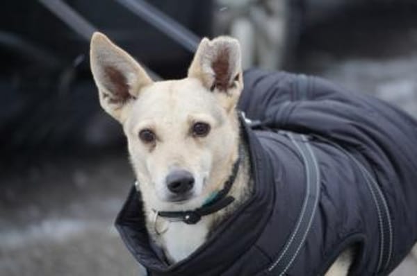 Mary Beth sucht ihr Zuhause