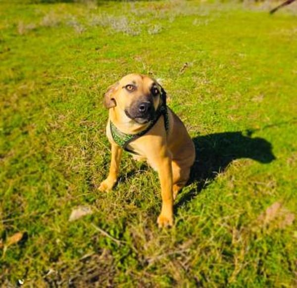 Kati ein bezauberndes Mädchen