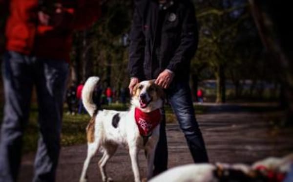 Kuschelbär Quinny sucht seine Familie