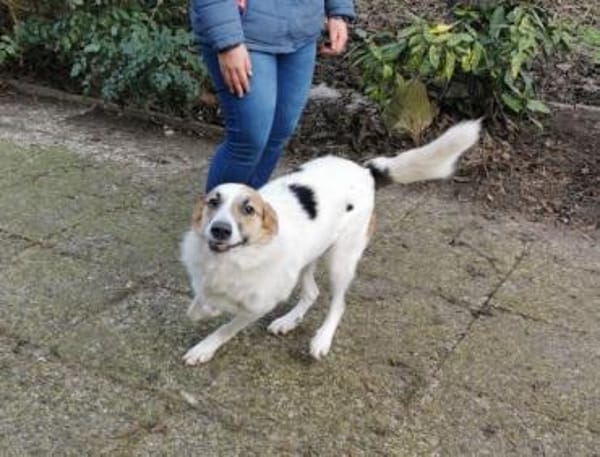 Kuschelbär Quinny sucht seine Familie