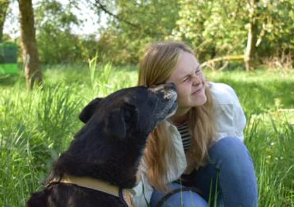 Zurly wartet schon lange auf dich!