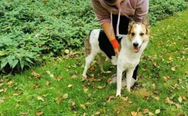 Wer schenkt Loon ein Leben voller Liebe?