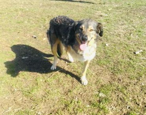 Berry ein Traumhaftes Kerlchen