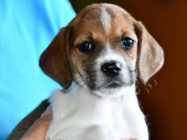 Lisa möchte Ihr Herz erwärmen