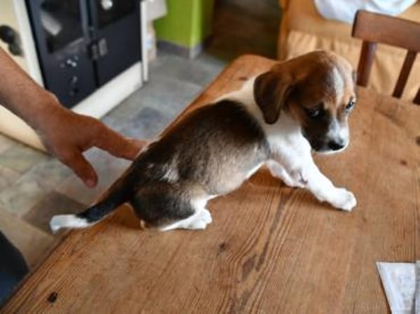 Lisa möchte Ihr Herz erwärmen