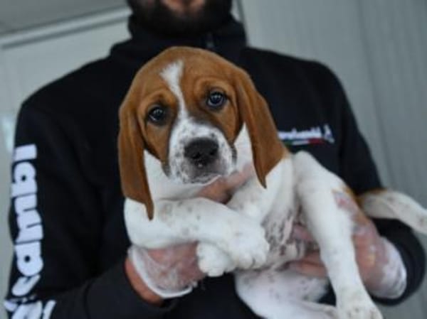 Christhie freut sich auf Sie!