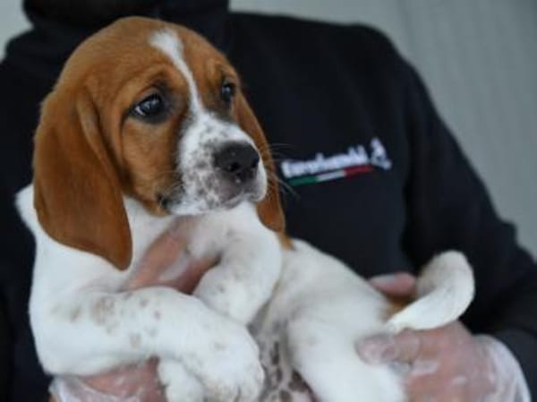 Christhie freut sich auf Sie!