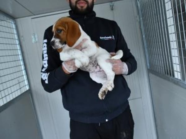 Christhie freut sich auf Sie!