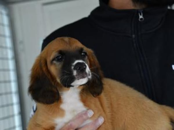 Darf Clotilde Ihre Familie bereichern?