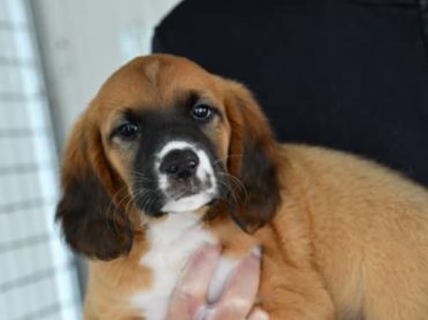 Darf Clotilde Ihre Familie bereichern?